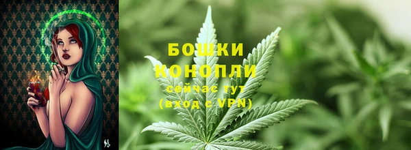 молекула духа Пересвет