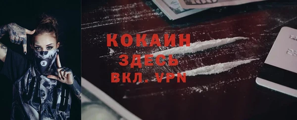 МДПВ Бородино