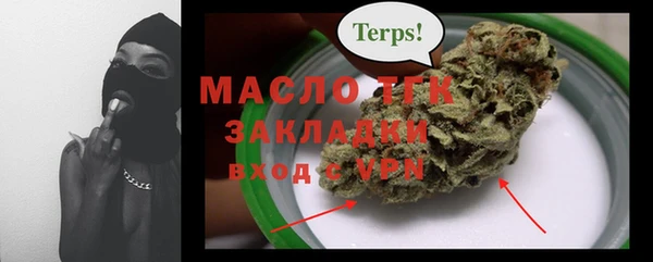 МДПВ Бородино