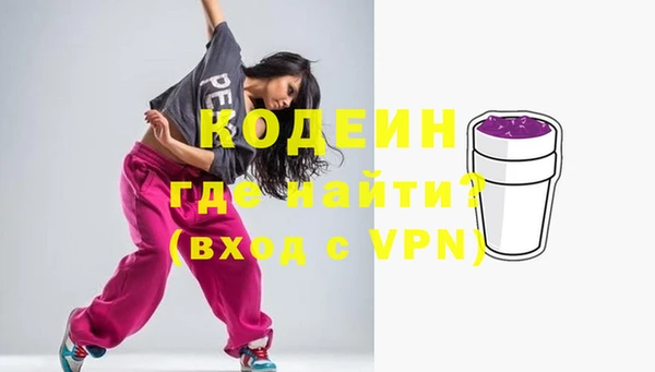 ГАЛЛЮЦИНОГЕННЫЕ ГРИБЫ Богданович