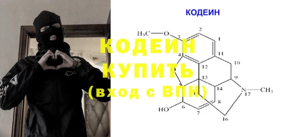 ГАЛЛЮЦИНОГЕННЫЕ ГРИБЫ Богданович