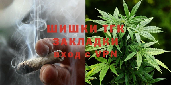 ECSTASY Богородицк