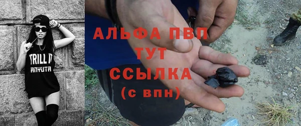 ГАЛЛЮЦИНОГЕННЫЕ ГРИБЫ Богданович