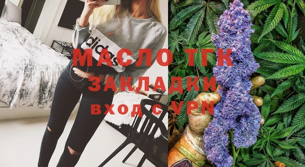 ECSTASY Богородицк