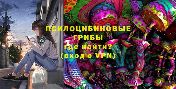 ECSTASY Богородицк