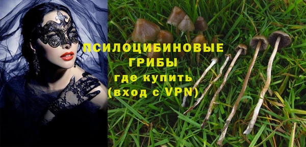 тгк Богородск