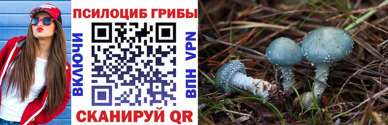 мега маркетплейс  Белинский  Галлюциногенные грибы ЛСД 